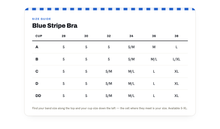 Load image into Gallery viewer, Coastal Stripe Layered Bra
